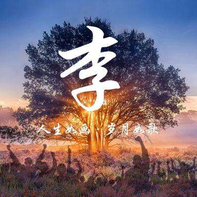伊朗队开启世界杯史上最特殊参赛模式，跨境备战当天往返，这对球队发挥有多大影响？背后是什么博弈？